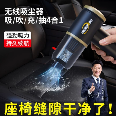 Large Suction Portable Pet Hair – Tozsoranlar