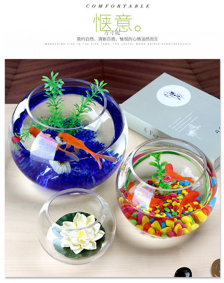 aa8a655c-8504-4e38-903b-6e931add60db.jpe