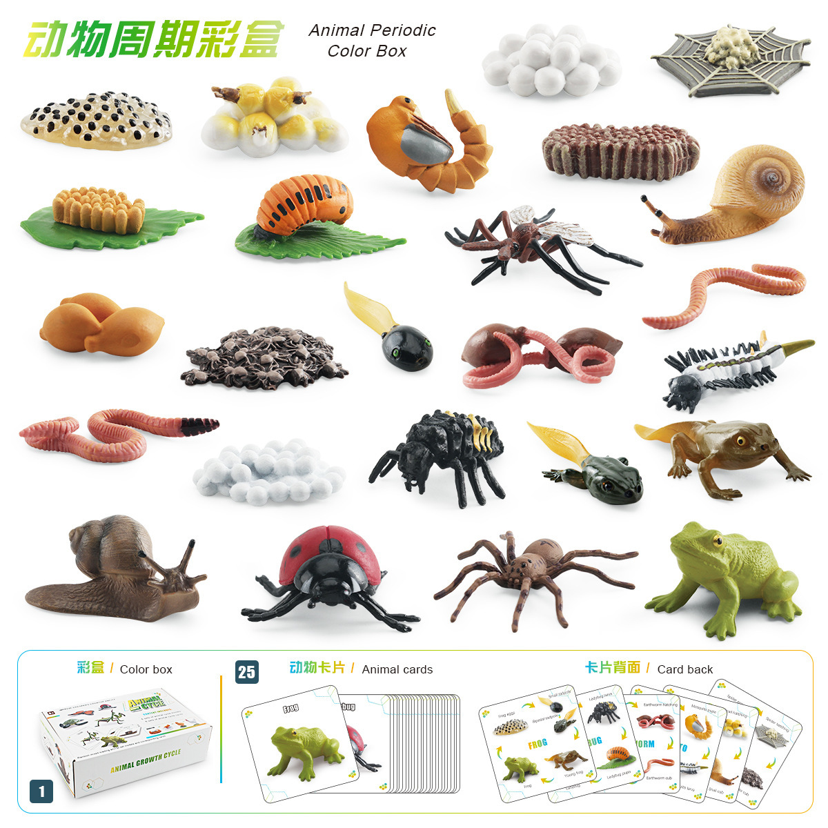 Transfronterizo niños simulación cognitiva insecto crecimiento ciclo color caja traje lombriz Caracol araña mosquito mariquita modelo