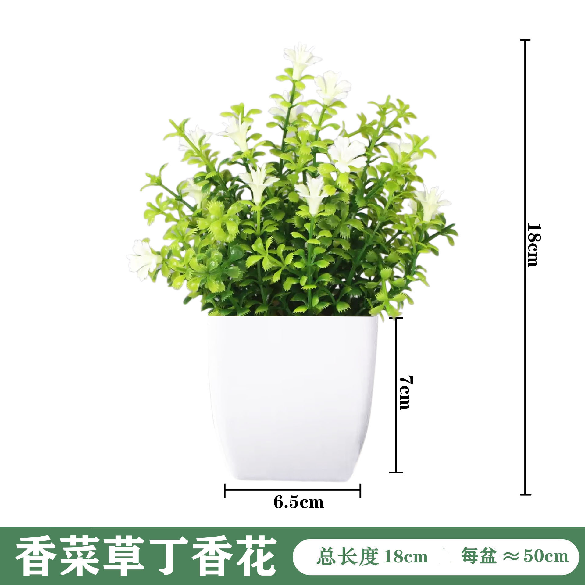 미니 화이트 화분 [고수풀 라일락]