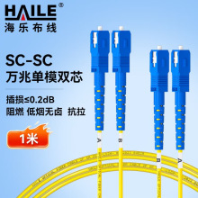 ��ģ�f�׹��w���� ��ģ�pо&Phi;2.0��SC-SC��9/125�� ���w���w