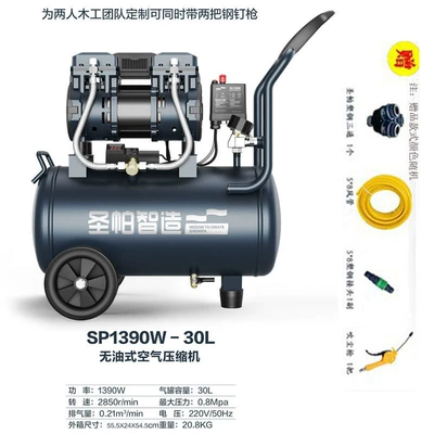 Core Oil-Free Low | Hava kompressorları - sp30l1390w