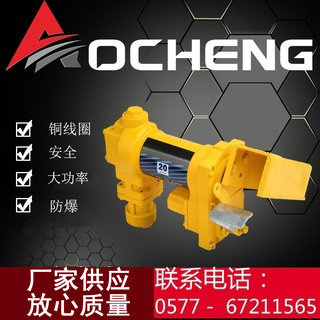 厂家现货 12V24V直流电动防爆加油泵 汽油加油泵 电动防暴加油泵