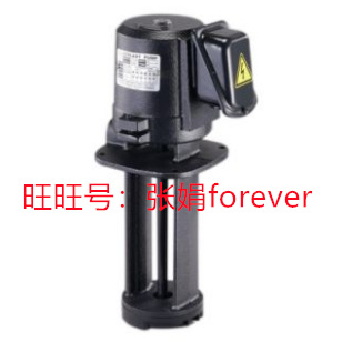 《原厂授权 》原装全新 台湾大港 泵浦 DS08~25 DS50~100 DV08~25