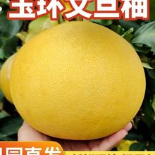 �㽭��h�ĵ��ֶYƷ�b���Į�������ˮ����ɽ̨�ݳ��T���r�羳���