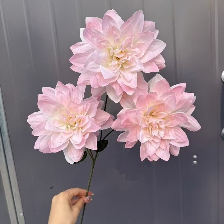 분홍색
