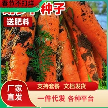 һ�����l���}���N��ˮ���߲˷N�ݼt�����}���N�Ѵ�ȫ�ļ��Nֲ����