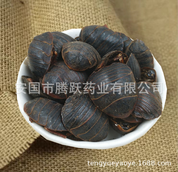Dried Ground Beetle Tu Bie Chong 土鳖虫 Eupolyphaga Whole Insect Raw TCM Herb 500g key features