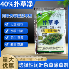 ��݃���~�s��ˮ�����ﻨ������ź������Ƽ�~������̦�rș���݄�