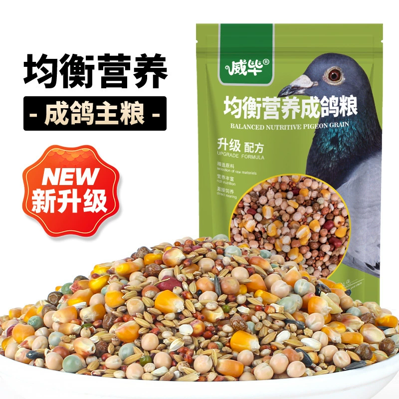 Голубь питание голубь корма поставок Перевозчик голубь гонки голубь разведение голубь с кукурузы мелких частиц гороха зерна птица питание оптом