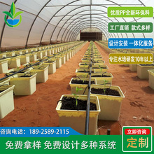 家庭阳台无土栽培水培荷兰桶瓜果蔬菜种植小系统可配整套架子