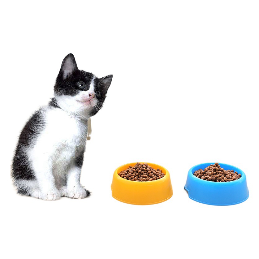 Pet Bowl perro tazón fácil de limpiar suministros para mascotas engrosada ronda perro vajilla de plástico colorido gato tazón al por mayor