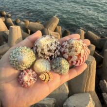 ��Ȼ����ؐ������diy�~��ˮ���쾰�Ҿ��b�ͯ���ռľ�з��