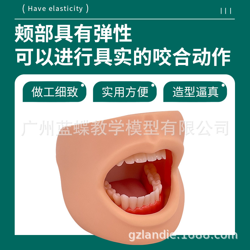 ��Ȼ������������ģ�� �߼���ǻ����ģ��(������)����ͷ