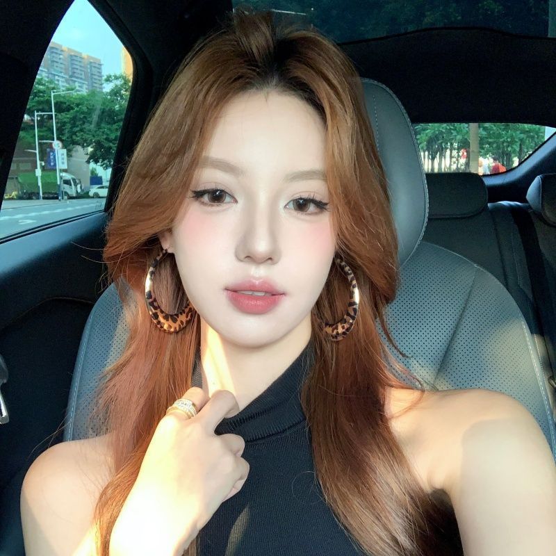 [Peach Tea] Ancient Idol Fashionable Metal Leopard Print Large Hoop Earrings Women's Personalized Exaggerated Circle Earrings