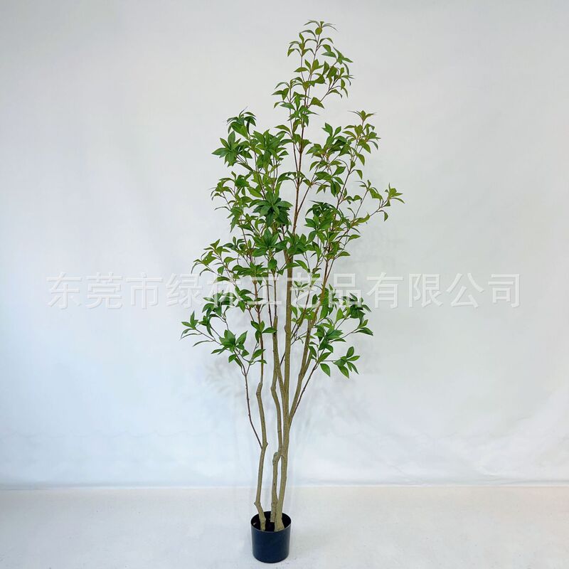 シミュレーション馬酔木着地鉢植え緑植物室内ショーウインドー造景装飾日本吊鐘ネット赤緑植|undefined