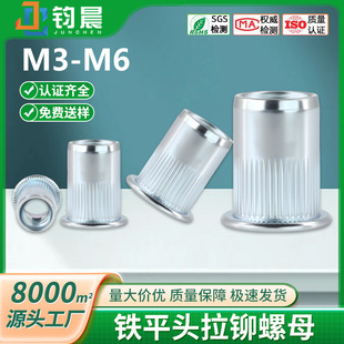 �F��{���\ƽ�^���T��ĸ4.8��̼�GB17880���L�Ӻ��ݽzñm3m4m5m6