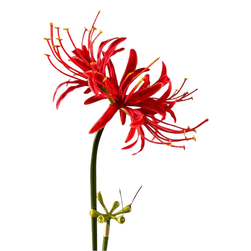 Bianhua alta flor artificial arreglo floral interior decoración del hogar viento y la lluvia azul estilo antiguo magia apoyos de la fotografía