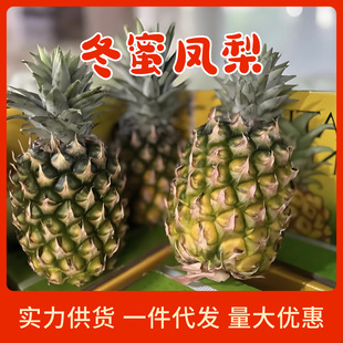 ���տ졿���ں��϶����P��  �����P��������ɽ���}�Fժ�Ꭷˮ��