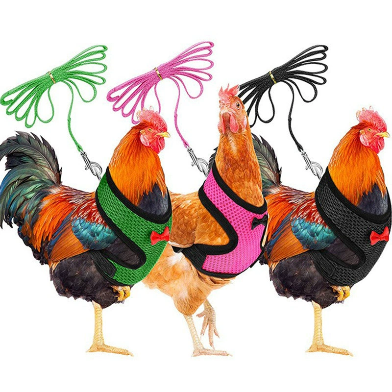 Шлейка для животных, поводок для собак, поводок для выгула собак, шлейка с защитой от побега для маленьких собак, выдвижная шлейка для собак