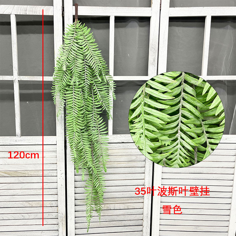 눈 색깔의 벽-페르시아 잎 35 눈