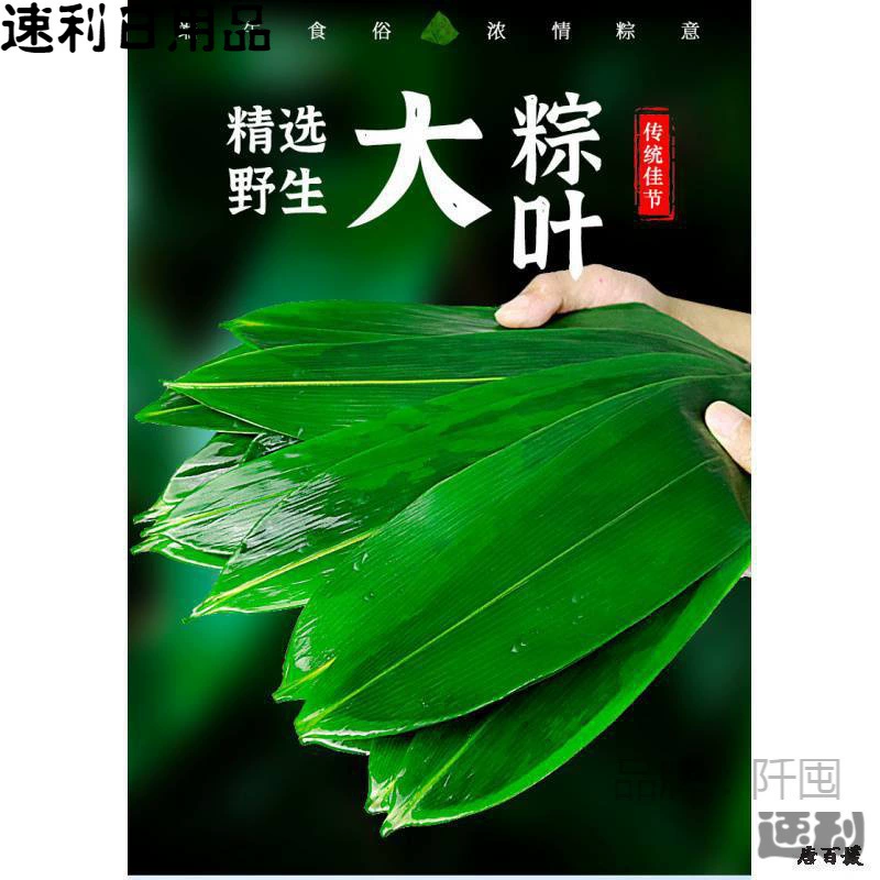 100 штук свежих собранных листьев цзунцзы листья индокаламуса свежие большие листья бамбука Фестиваль лодок-драконов листья Пельменей