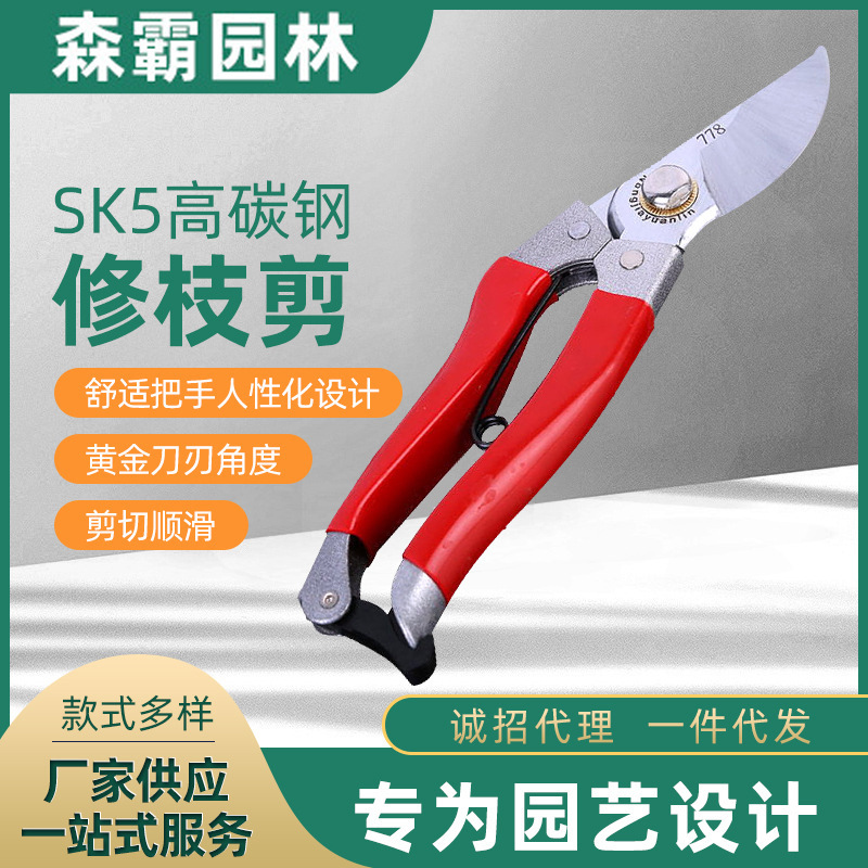园艺工具树枝工业级修枝剪 鸟嘴园林高枝修枝剪 多功能果枝树枝剪