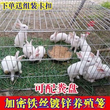 兔笼特大号家用养殖笼加粗加密兔子笼子鸡笼豚鼠笼饲养宠物兔笼子