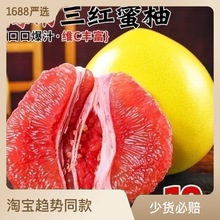 福建平和三紅蜜柚子蜜柚新鮮水果當季時令葡萄整箱三紅肉蜜柚琯柚