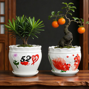 ��̖�Ӻ��մɻ����Ҹ��䌣�Ï͹�͸��ͥԺ�̨�GֲԴ�^�S�����l