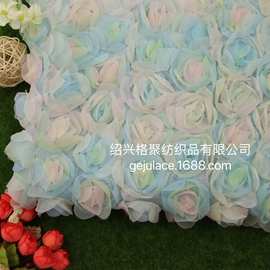 2021 网布绣花渐变盘带小花幻彩粉蓝色蓬蓬裙玫瑰立体 童装女装