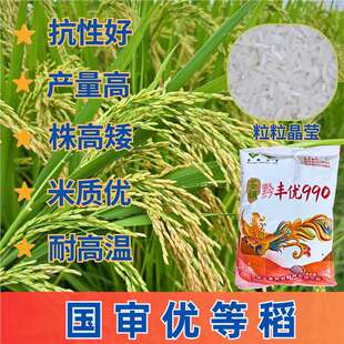 �����s��ˮ�����׃��|ǭ�S��990ˮ���N�L�����׵�������