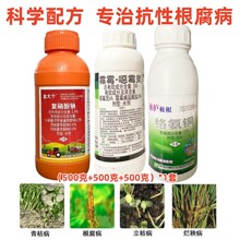 ˪ù��ù����ͭ�簱ͭ���ϸ������ø�����׸���ή��������ɱ����