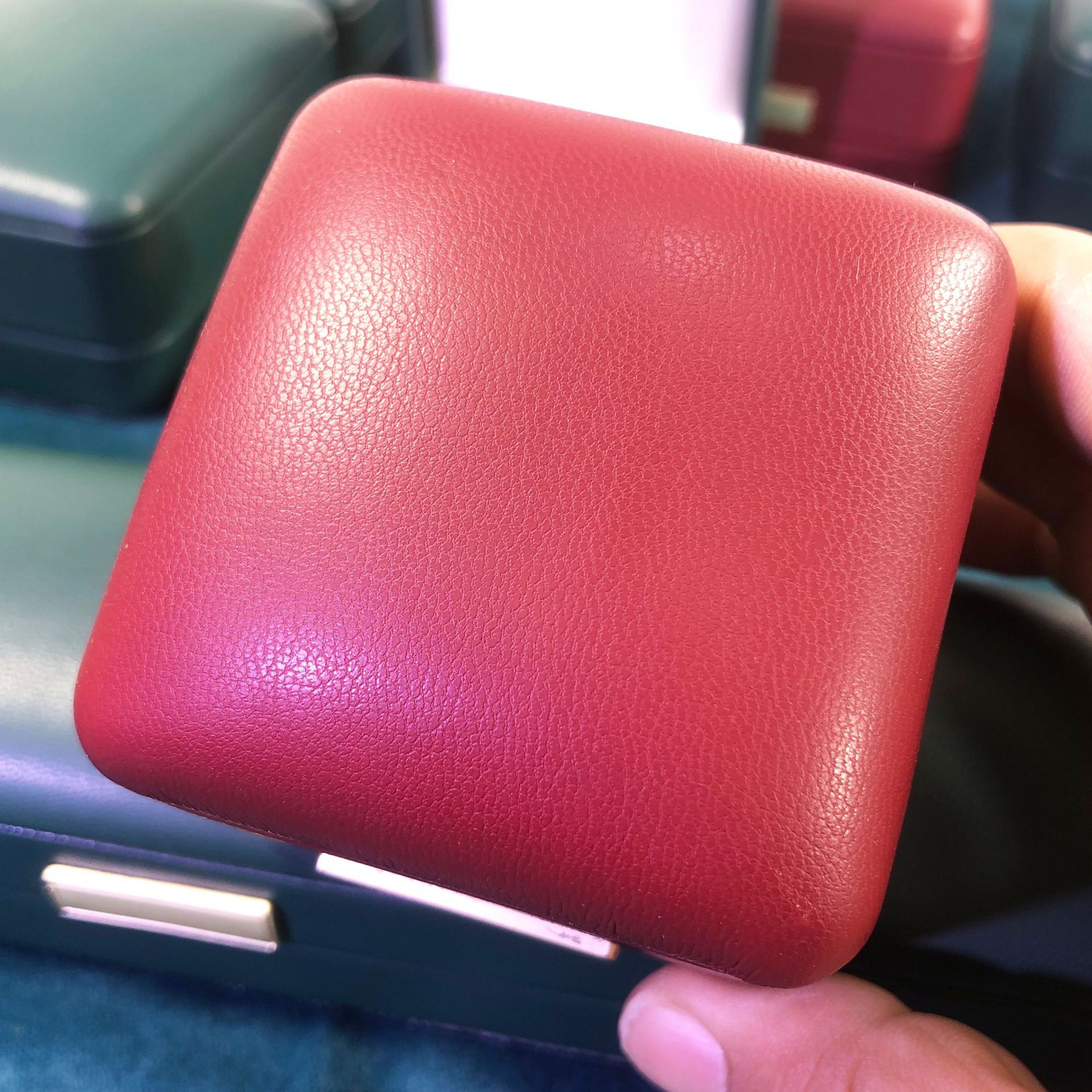 Display Figure 1.jpg