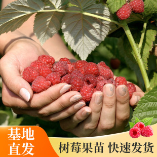 ����ֱ�l�F؛�t��ݮ������ˮ�������҃��̨ͥԺ���Ե��Լt��ݮ��