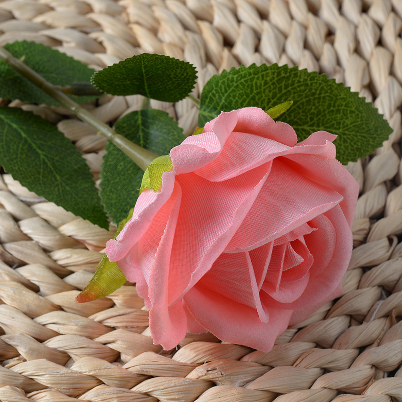 Small velvet coral pink