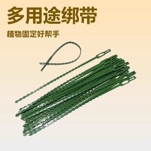 �羳�@���~�ǽ���23cm����;�Gɫ�����������Ϲ̶��@ˇ��������