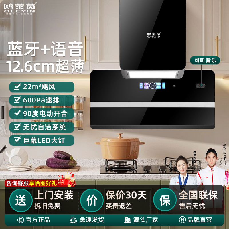 现货自动清洗油烟机超薄侧吸抽烟机家用智能蓝牙语音抽油烟机批发