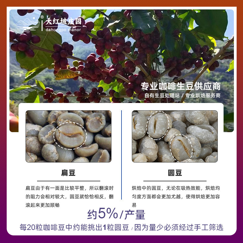 生コーヒー豆 丸米 水洗い加工 丸豆コーヒー メンズ豆 焙煎未加工コーヒー生豆 アラビカ種|undefined