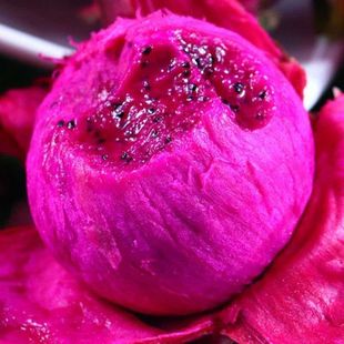 �Fժ���Ͻ�һ̖�������t�����r�t���ی����5����l�����ɫ