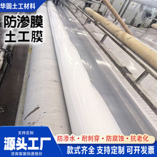 国标聚酯长丝短丝土工布白色滤水园林绿化公路养护透水保湿无纺布