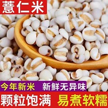 ޲����޲������؛�F��޲�׿ɴ���ඹ�t������s�Z�ּZ�͟o���