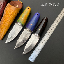 工厂直销恐爪龙小直刀手工锻打大马士革钢户外手把肉刀野营防身刀