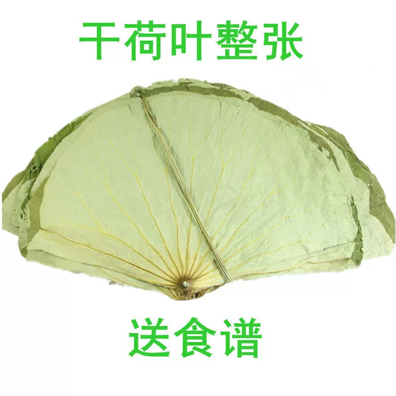 Цельный лист лотоса, чай из листьев лотоса, сушеный лист лотоса, целый сушеный лист лотоса, сушеный лист лотоса, лист лотоса, куриный лист лотоса