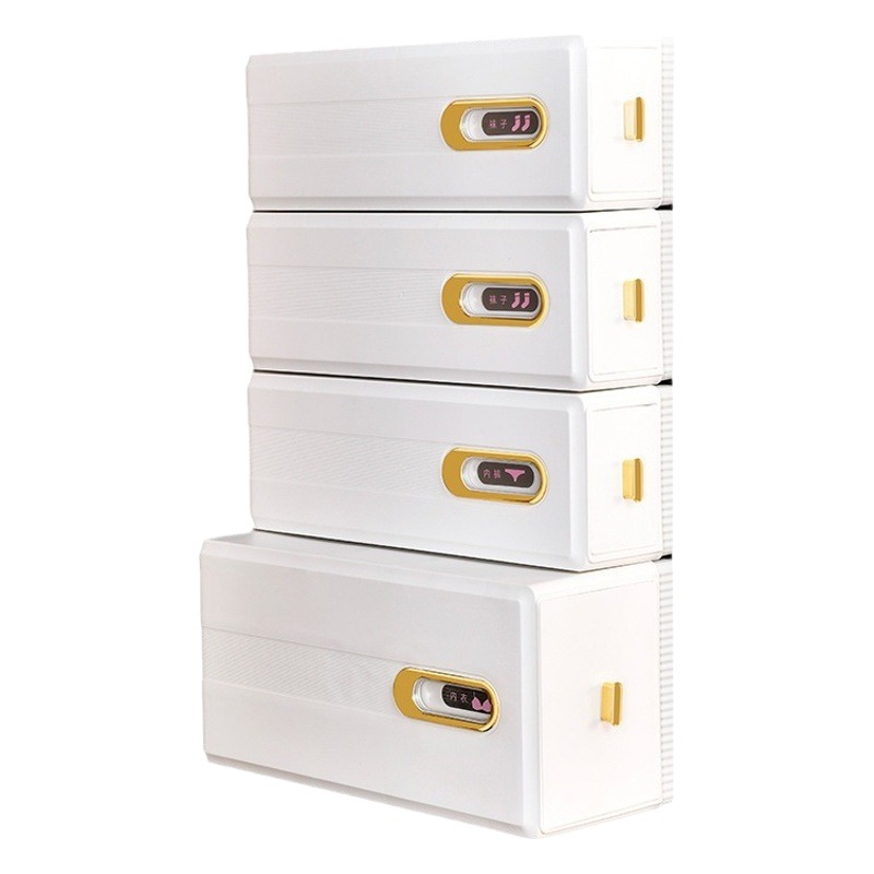 Cajón montado en la pared del hogar caja de almacenamiento de ropa interior armario ropa interior sujetador calcetines organización del hogar almacenamiento compartimento transparente