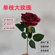 ����ins�L��֧�L�U��õ���c���A��Y�Ĕz���߿͏d�[�ŷ���