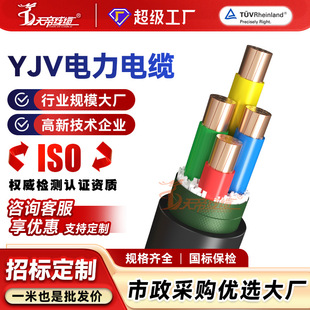 �ӹ�����YJV�~о���늾���|2 3 4 5о�^������1.5 2.5 4 6 10ƽ