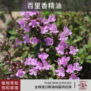 �����㾫�ͷ����o�w��޹��Ħ�������s��ȡֲ��η����ͱ�������