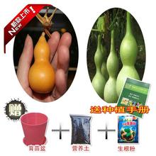 ͺJƺJشJN ׷N߲ͥԺ^p