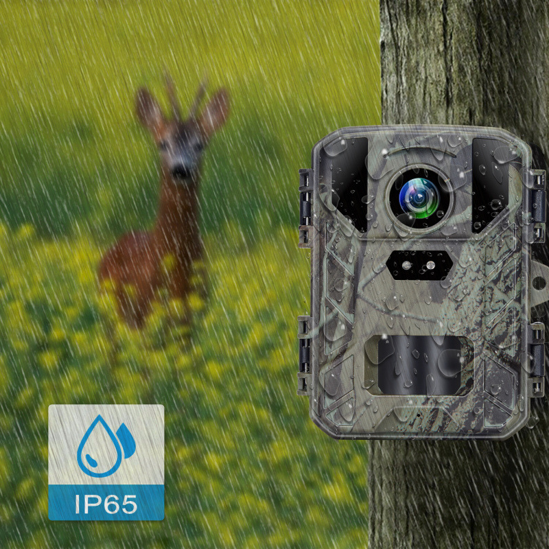 Mini Hunting Trail Camera 50MP 4k Outdoor IP65 Waterproof Wild Camera Photo Trap With Night Vision 4